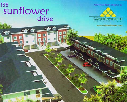 sunflower-front.jpg